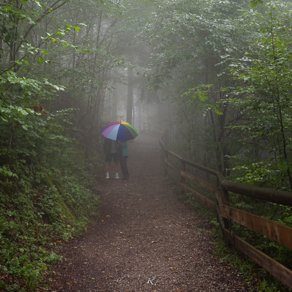 Buntes im Nebel