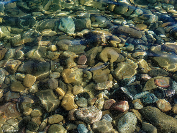 Am Strand - Elba 2
