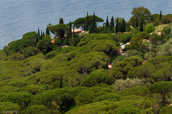 Elba 1