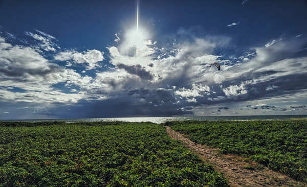 122-Strandimpressionen