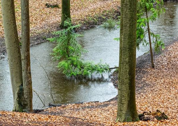 Unten am Bach