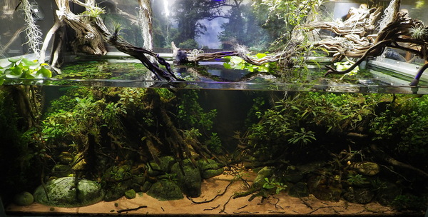 450L Asien-Biotopbecken_2_A203847.jpg