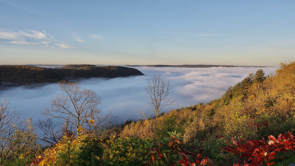 Nebel über Jena 3.jpg