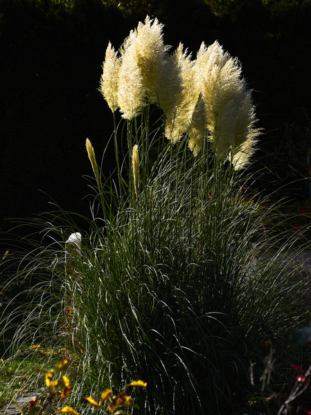 Herbst 1-34.jpg