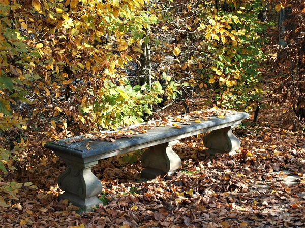 Bank im Barockgarten Großsedlitz.jpg