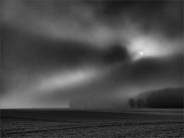 Walk in the Dark Fog V