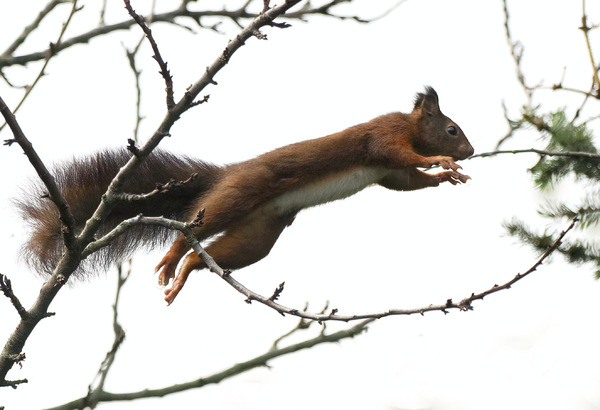 beim Sprung...