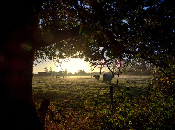 Sonnenaufgang