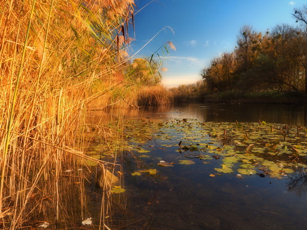 Herbststimmung