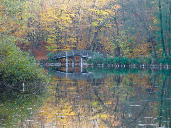Herbststimmung