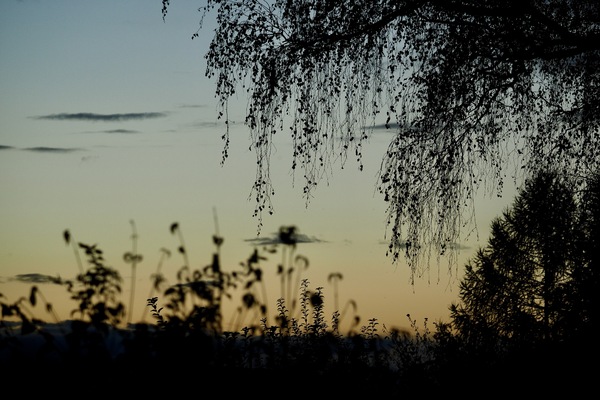 Abendstimmung