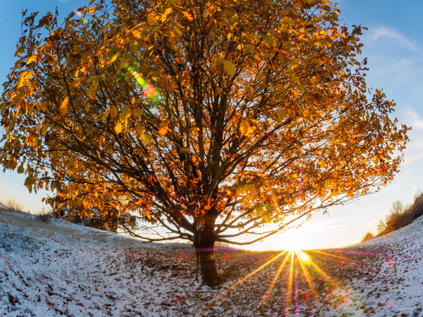 Herbst/Winter