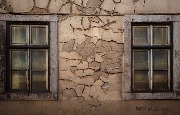 Wände aus Papier