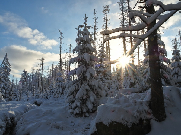 Sonne im Schnee