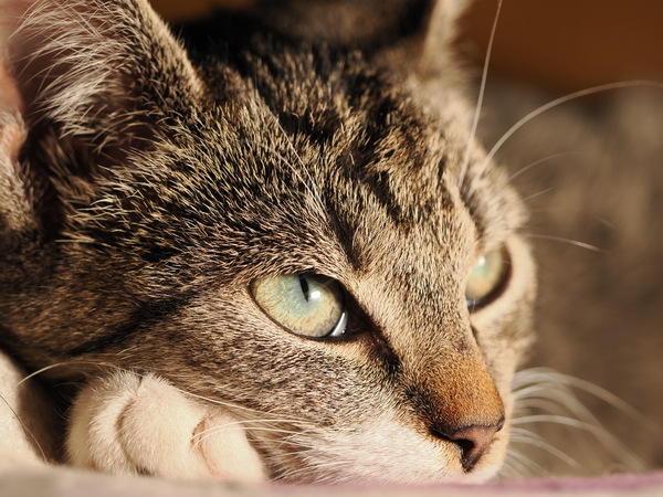 Mieses Wetter draussen