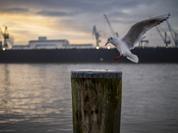 Hamburg Landungsbrücken