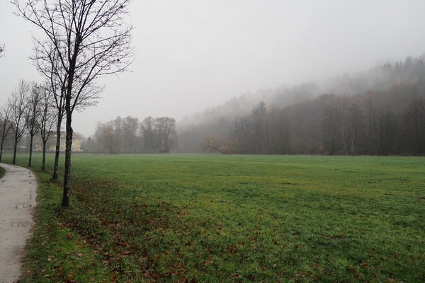 Echt November