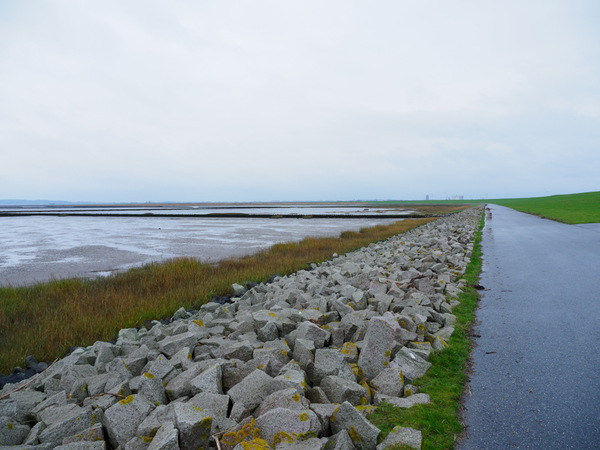 Blick Richtung Husum