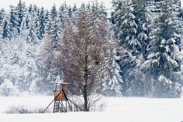 Hochsitz