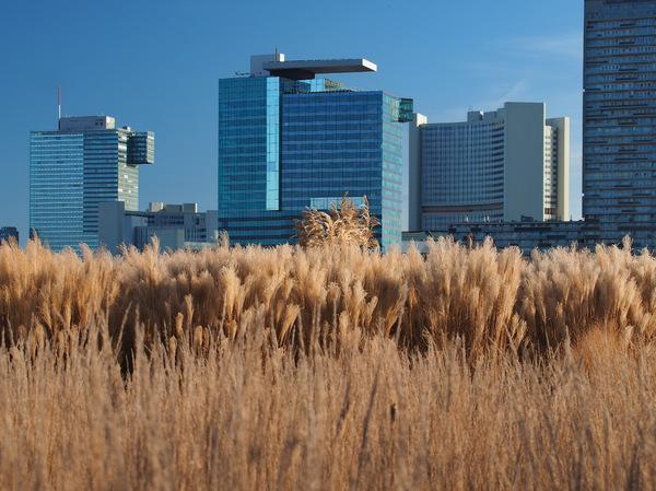 Natur und Großstadt