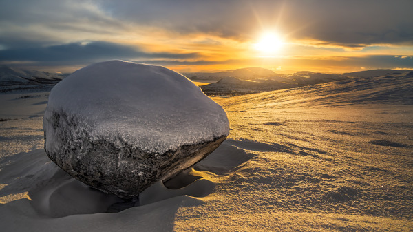 Lappi Sunshine