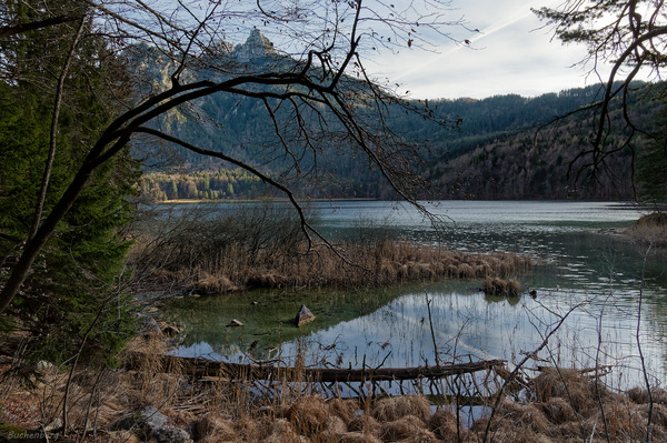 Am Alpsee 2