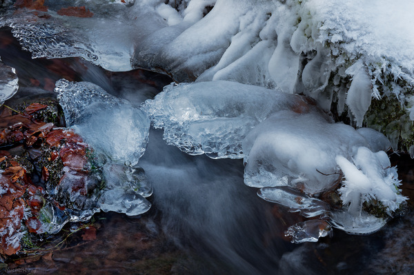 Frost im Bauchlauf 2