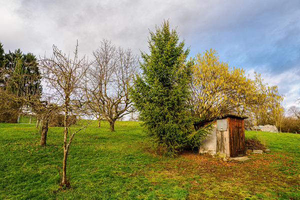 Die kleine Hütte auf der Apfelwiese