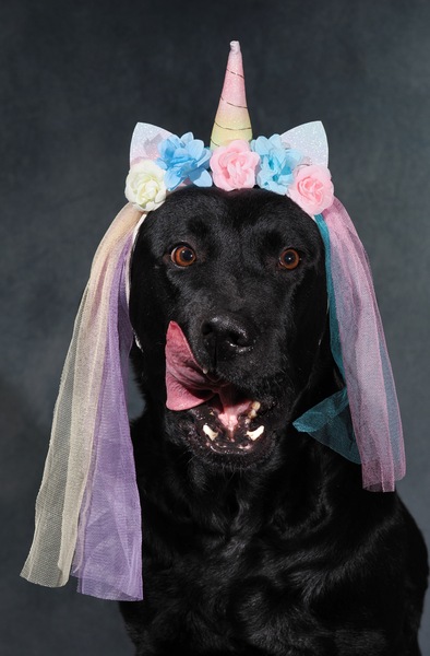 .....und manche nicht🤣