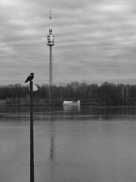 die protzigen Nachbarn ...