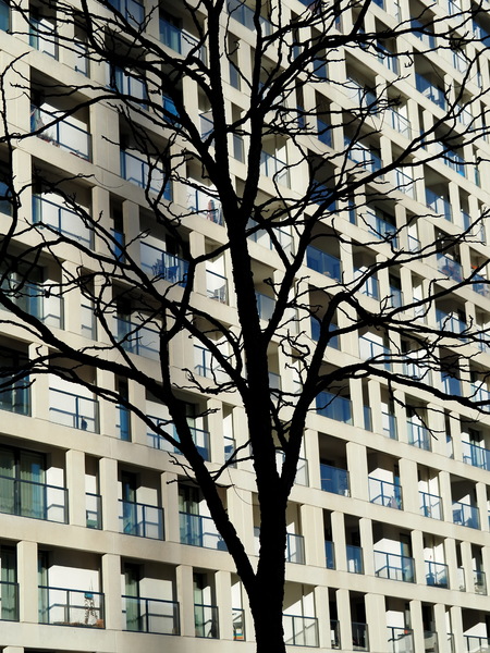 Baum vor Haus