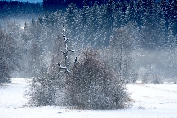 Winterlandschaft