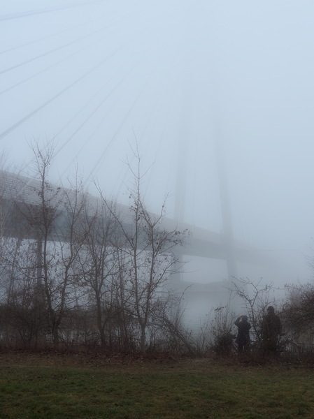 Brücke im Nebel