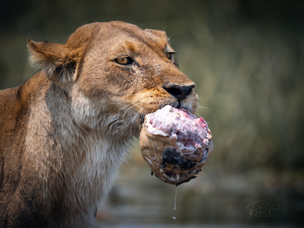 Ein kleiner Snack...