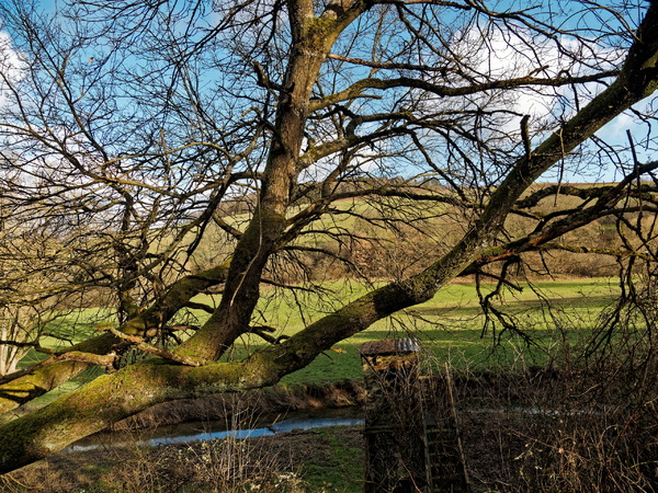 Naturschutzgebiet