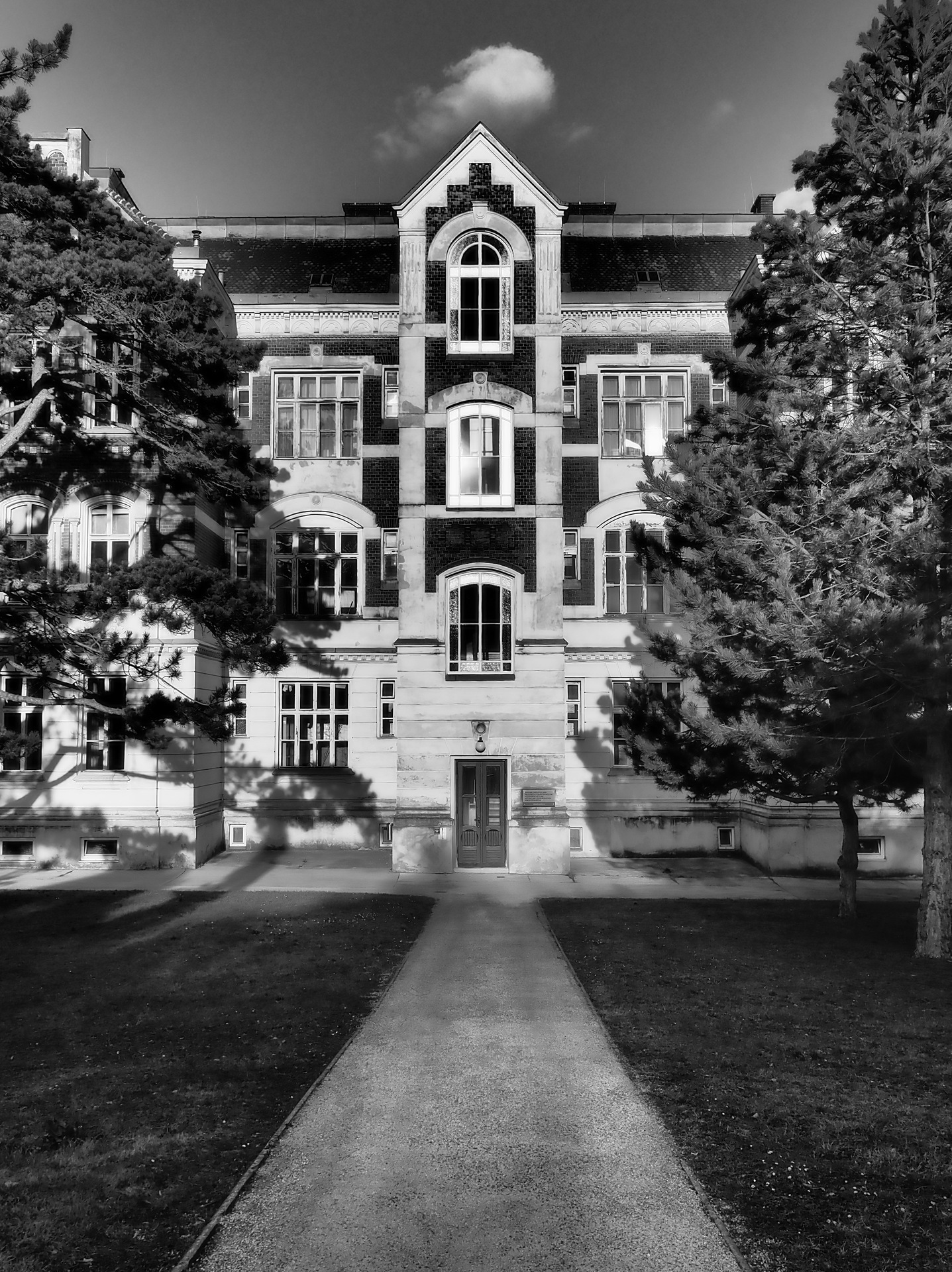 Stay a while stay FOREVER! Emotion Olympus Fotoforum Die OM