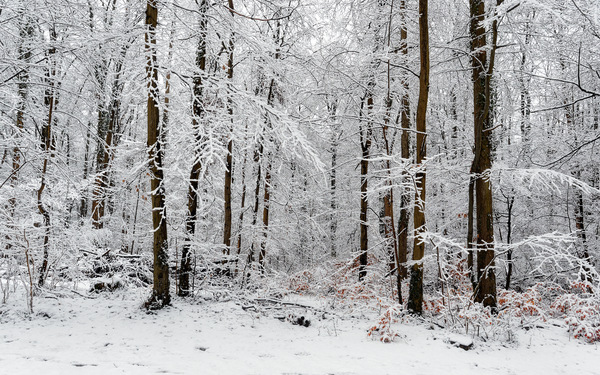 Winter ist zurück.jpg