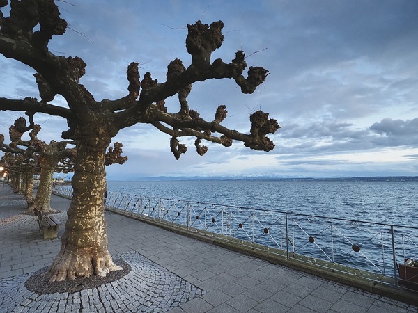 Promenade am Bodensee