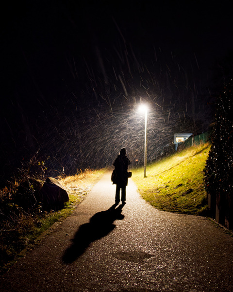 Schneeflocken-Licht-Schatten am Deich