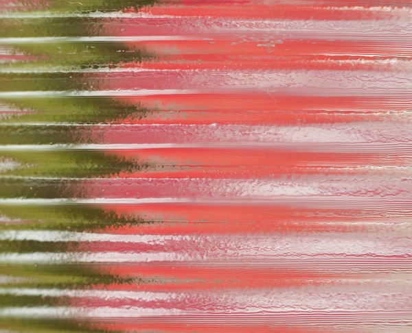 WT 16 - Rosenstil in Vase