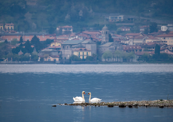 Lago di Como.jpg