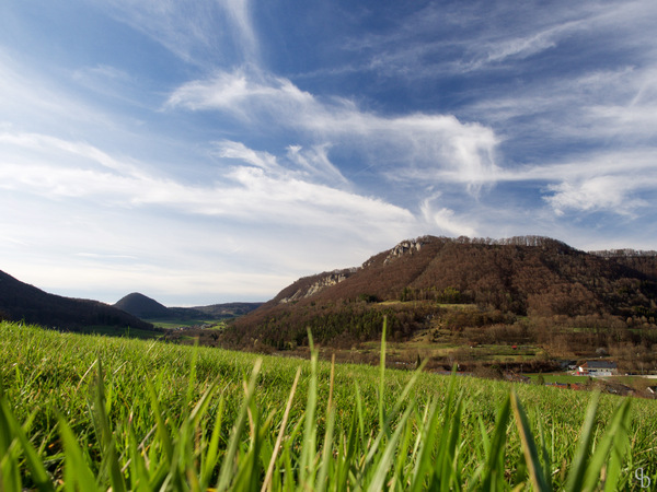 Vorfrühling