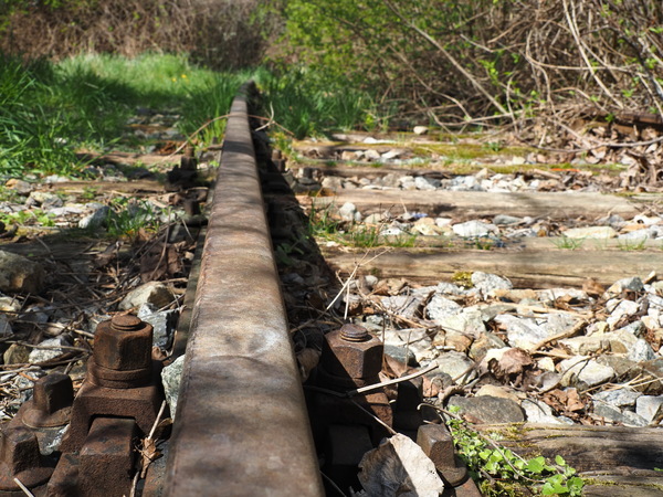 Verwilderte Bahnstrecke