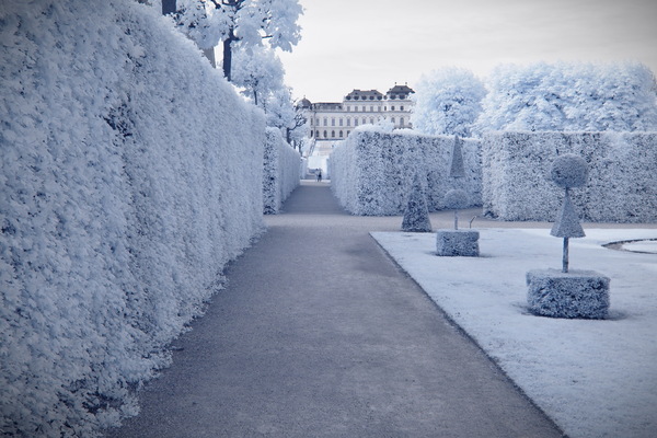 Schloß Belvedere Wien (IR)