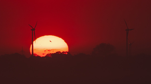 Sonnenaufgang am Dümmer