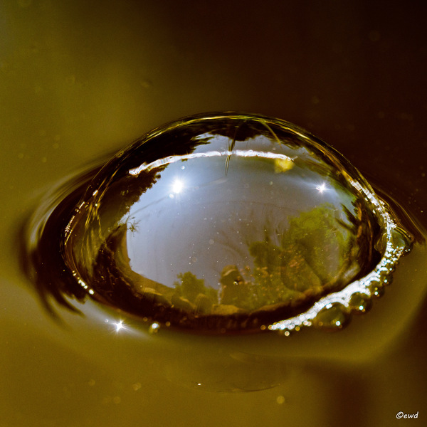 H²O Ufo