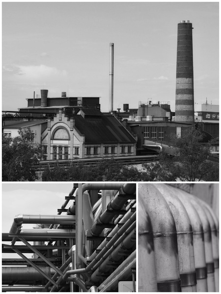 WT 20 - die alte Papierfabrik in Mainz-Kostheim