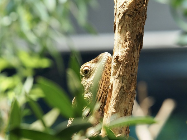 Wilhelma Stuttgart