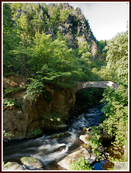 Jungfernbrücke Bodetal_P5294473_DxO.jpg