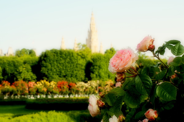 Im Wiener "Volksgarten"